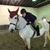 Lani Kurland's profile image