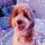 Lori Newton's profile image