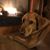 Julie Kolosso's profile image