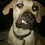 TJ Knowles's profile image