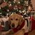 Amy Rusek's profile image