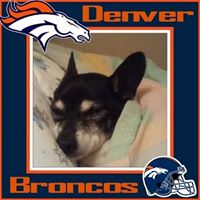 Michelle Bradley's profile image