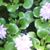 Pam Olesen's profile image