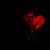 Juli Broz Burns's profile image