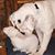 Patti Terrier's profile image