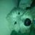 Ma'ayan Winter's profile image