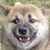 Jason Lombardi's profile image