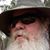 Dave Shipman's profile image