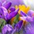 Gena Baker's profile image