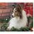 Susan Echo Carolina Souvenir's profile image