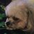 Linda Opferman's profile image