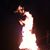 Jimmy Holman's profile image