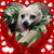Nikki Atwell's profile image