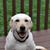 Vincent Saponar's profile image