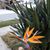 Anna Charlene Garrett's profile image