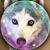 Pamela Wilson's profile image