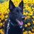 Mandy Farthing Sebert's profile image