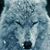 Bruce Weiland's profile image