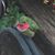 Carol Henry's profile image