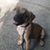 Jennifer T Price Farrell's profile image