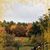 Carol White's profile image