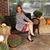 Leslie Mansell's profile image