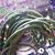 Falcon Sacristan's profile image