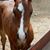 Joyce Mull's profile image