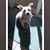 Danny Lieras's profile image