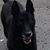 Betty O'Neil's profile image