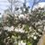 Michelle Burt-Miller's profile image