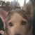 Vicki Booher's profile image