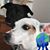 Colt Tillett's profile image
