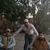 Jose Luis's profile image