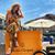 Mariel Addison's profile image