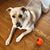Cathy Nale's profile image