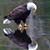 Joe Witmer's profile image