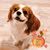 Donna Hughes's profile image