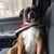 Alan Clark's profile image