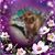 Michalski Tina's profile image