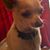 Jackie Hoekstra's profile image