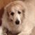 Louise Newhard's profile image