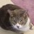 Vicki McDonald's profile image