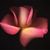 Lisa Schwartz's profile image