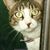Debbie Spencer McGillis's profile image