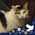 Barbie Smith's profile image