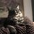 Jill Perry-Caven's profile image