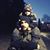 Niklas Rotemar's profile image