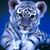 Connie Ray's profile image