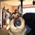 Kim Higgins's profile image